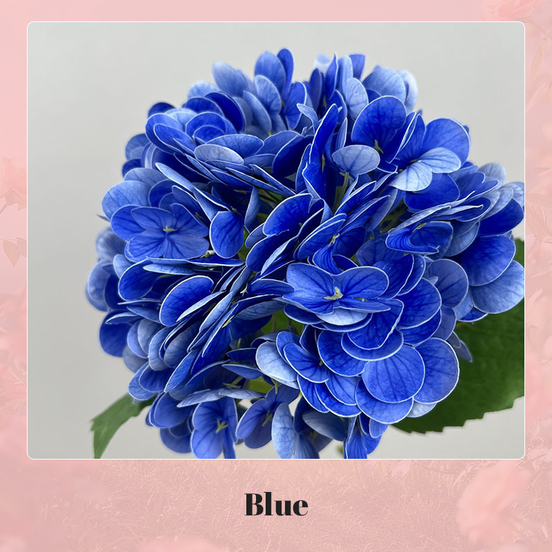 3d kunstig hortensia-blomst