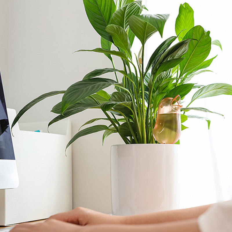 Indendørs og udendørs potteplante automatisk vanding - Fugleform