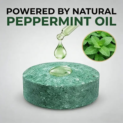 Confezione da 12 Popolari Sfere Naturali Repellenti per Roditori