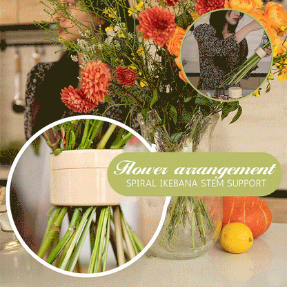 🎁Spiral Ikebana stammeholder