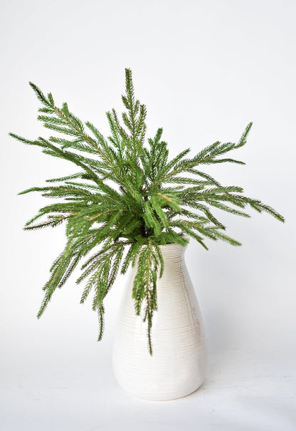 🎄Beautiful Christmas Special 49% 🎄Norfolk Pine Branch