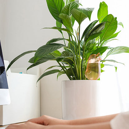 Indendørs og udendørs potteplante automatisk vanding - Fugleform