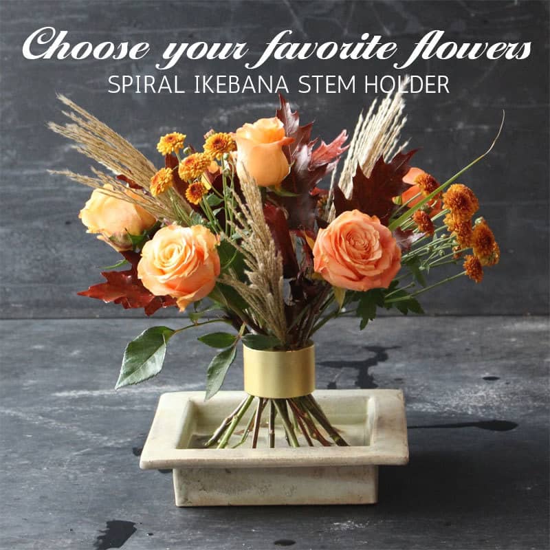 🎁Spiral Ikebana stammeholder