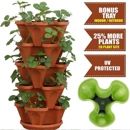 Plant Festival Special - Stand stable plantninger jordbær plantepotter