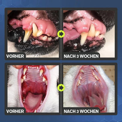 💥Tilbuddet🔥Tandrensningsspray til hunde og katte