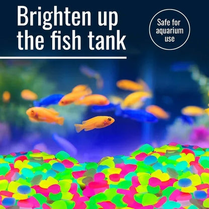 ⚡Pietre che brillano al buio – Illumina il tuo spazio esterno con lampade magiche!